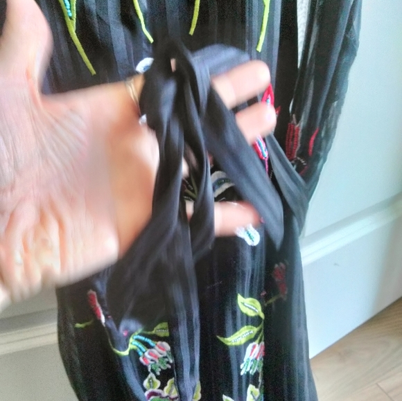 Beaded and Embroidered Not So Serious Dress from Anthropologie - Picture 14 of 16